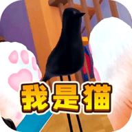 猫咪风云 猫咪风云