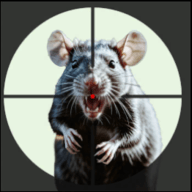 老鼠狩猎3D 老鼠狩猎3D