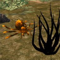 地球物种进化 地球物种进化