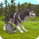 wildcraft最新版本 wildcraft最新版本