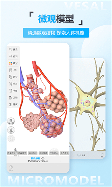 维萨里3d解剖app破解手机版