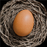 蛋之旅官方正版 蛋之旅官方正版