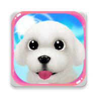 晴天小狗 晴天小狗