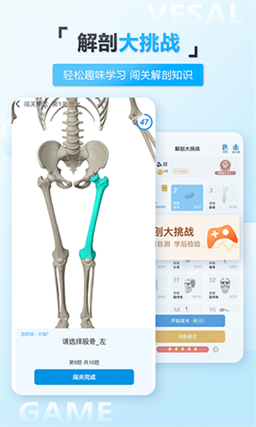 维萨里3d解剖app破解手机版