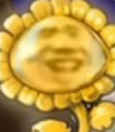 杂交植物战争派对最新版本 杂交植物战争派对最新版本