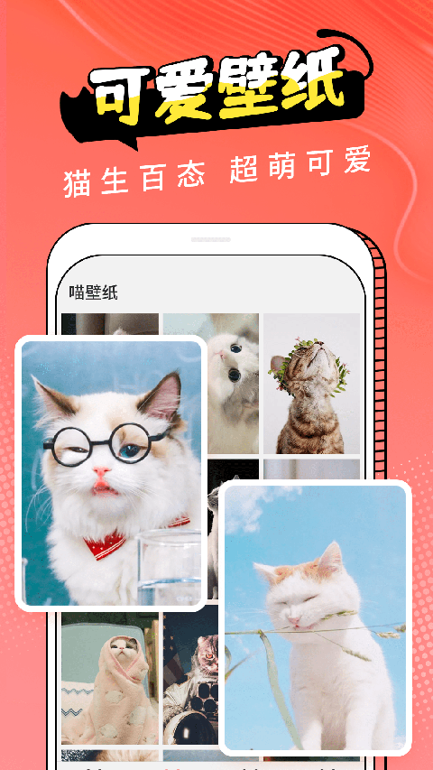 猫翻译