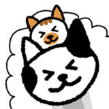 猫咪真的很爆爆 猫咪真的很爆爆