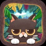 猫咪密林app最新版本 猫咪密林app最新版本
