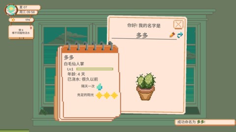 窗口花园 第4张图