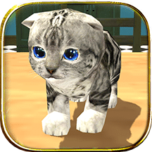 模拟猫咪 模拟猫咪