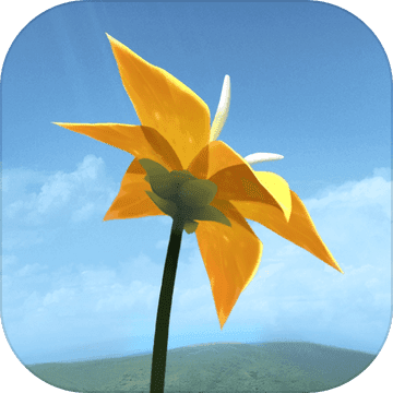 flower花 flower花