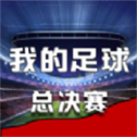 我的足球总决赛 我的足球总决赛