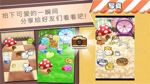 精灵与老鼠 第1张图