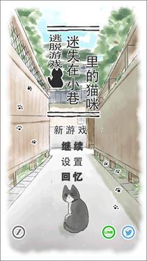 迷途猫 第1张图