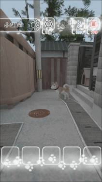 迷途猫 第2张图