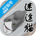 迷途猫 迷途猫