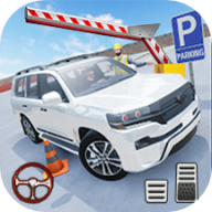 真实3D模拟停车 真实3D模拟停车