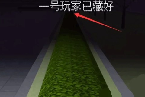 樱花校园躲猫猫 第12张图