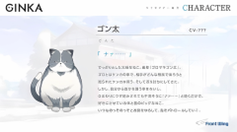 ginka手机冷狐版 第9张图