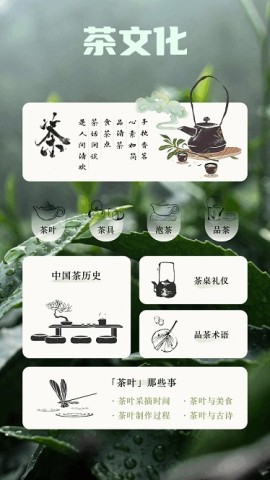 悠悠茶园 第3张图