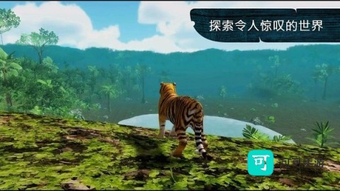 老虎森林捕猎