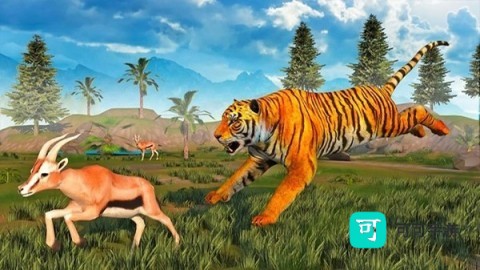 老虎森林捕猎 第2张图