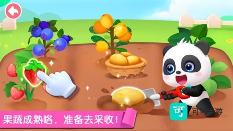 宝宝劳动小能手