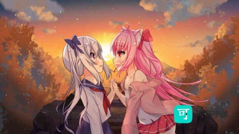 佩尔霍宁 第1张图