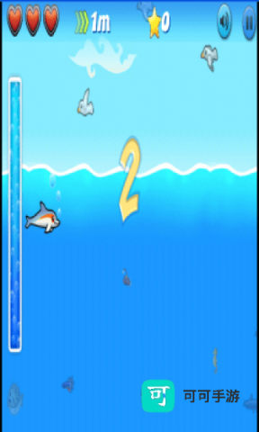 海豚大冒险 第2张图