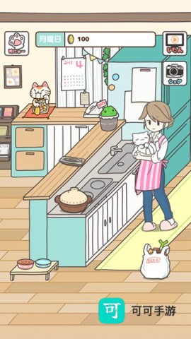猫咪饲养日常