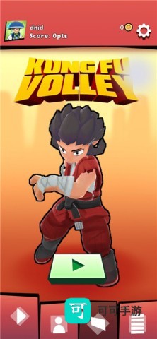 功夫排球 第1张图