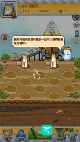懒洋洋的宝藏猫 第3张图