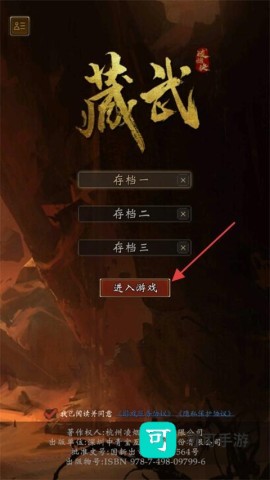 藏武 第2张图