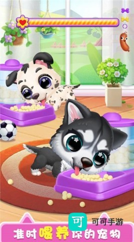 儿童宠物乐园 第1张图