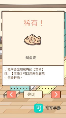 猫咪饲养日常 第3张图