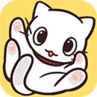 猫咪饲养日常 猫咪饲养日常