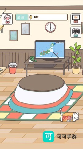 猫咪饲养日常 第2张图