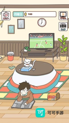 猫咪饲养日常