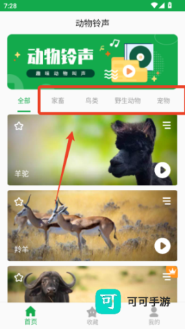 动物叫声之家 第1张图