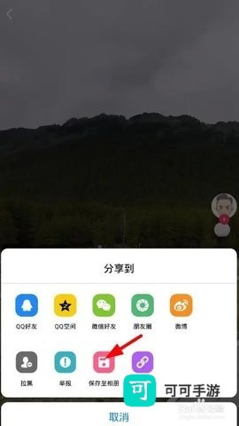 蘑菇视频 第3张图