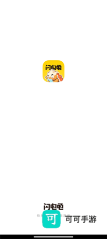 闪电龟 第6张图