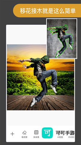 ProKnockout 第1张图