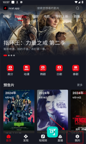 网飞猫 第2张图