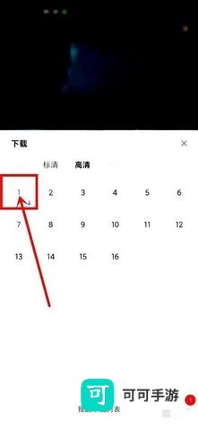 金鱼视频 第6张图