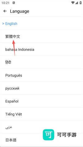 AMYVIRTUAL 第3张图