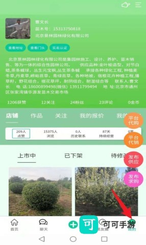 苗木人 第4张图