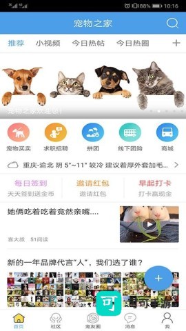 宠物之家 第1张图