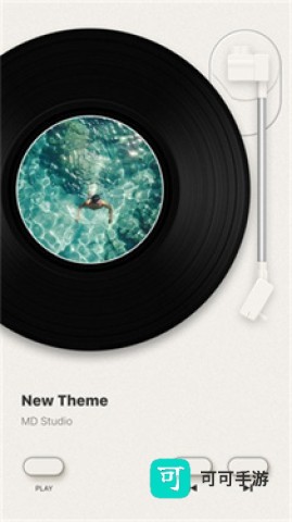 谜底黑胶 第2张图