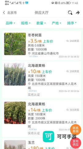 苗木人 第3张图