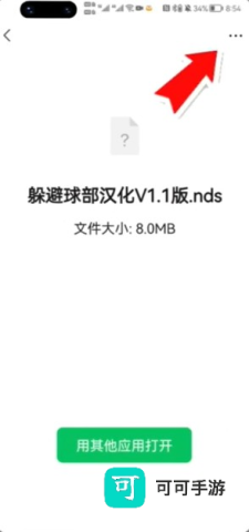 NDS模拟器 第8张图